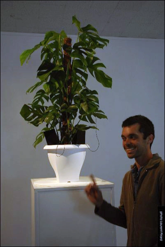 http://www.ekac.org/04.essay.plant.1.jpg