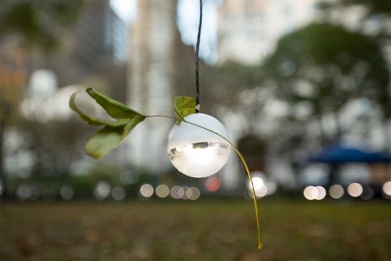 Erwin Redl (artist)